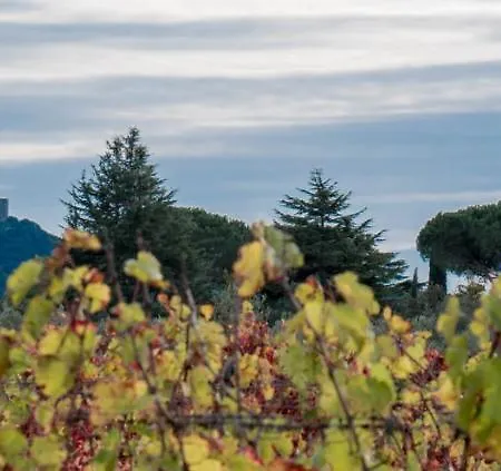 Il Cuoricino Podere Le Bozze Con Piscina, Wi-fi, Posto Auto Castagneto Carducci